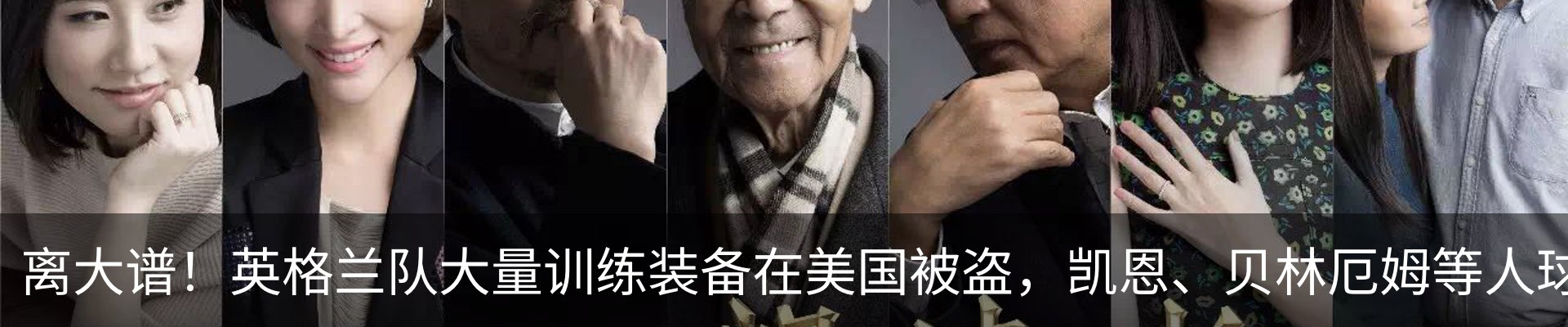 新闻动态