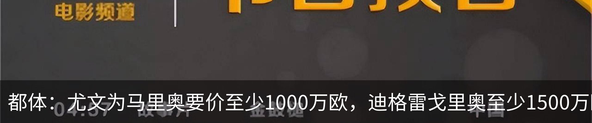 新闻动态